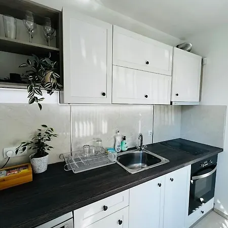 Classic Modern With Parking Place Apartment *